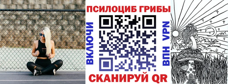 Галлюциногенные грибы Psilocybine cubensis  Октябрьск 